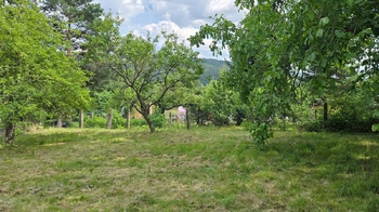 Zahrada - Prodej pozemku 1353 m², Račice-Pístovice
