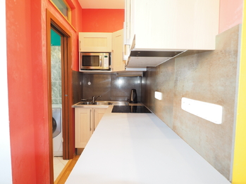 Pronájem bytu 1+kk v osobním vlastnictví 24 m², Praha 10 - Vinohrady