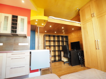 Pronájem bytu 1+kk v osobním vlastnictví 24 m², Praha 10 - Vinohrady
