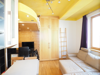 Pronájem bytu 1+kk v osobním vlastnictví 24 m², Praha 10 - Vinohrady