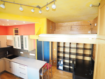 Pronájem bytu 1+kk v osobním vlastnictví 24 m², Praha 10 - Vinohrady