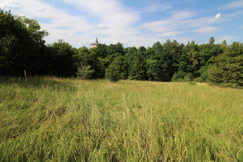 Prodej pozemku 25331 m², Frýdlant