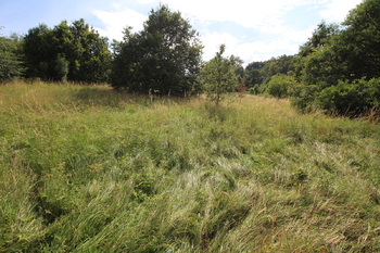 Prodej pozemku 25331 m², Frýdlant