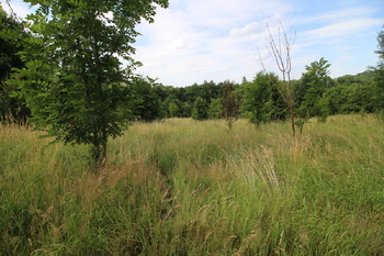 Prodej pozemku 25331 m², Frýdlant