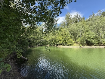 Prodej pozemku 12448 m², Letovice