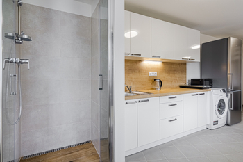 Pronájem jiných prostor 25 m², Braškov