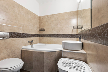 Prodej domu 230 m², Stéblová