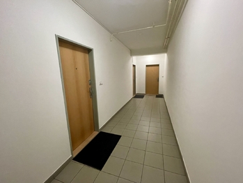Pronájem bytu 2+kk v osobním vlastnictví 7370 m², Benešov