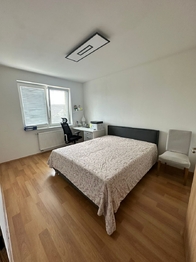 Pronájem domu 133 m², Vejprnice
