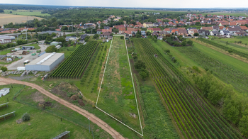 Prodej pozemku 5225 m², Moravská Nová Ves