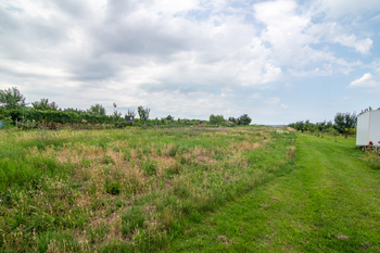 Prodej pozemku 5225 m², Moravská Nová Ves