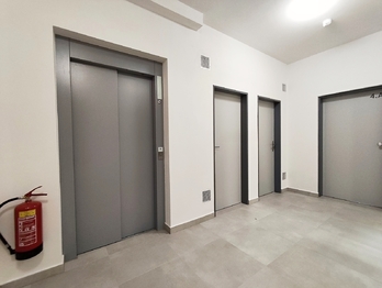 Pronájem bytu 2+kk v osobním vlastnictví 54 m², České Budějovice