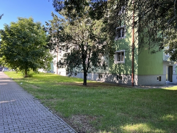 Pronájem bytu 1+1 v osobním vlastnictví 30 m², Plzeň