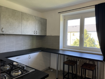 Pronájem bytu 1+1 v osobním vlastnictví 30 m², Plzeň