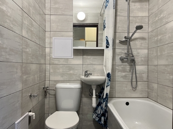 Pronájem bytu 1+1 v osobním vlastnictví 30 m², Plzeň