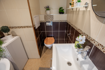 Prodej bytu 2+1 v družstevním vlastnictví 60 m², Meziboří
