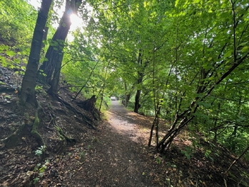 Prodej chaty / chalupy 25 m², Zbečno