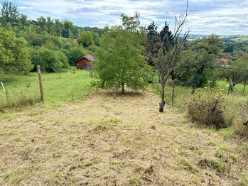 Prodej chaty / chalupy 116 m², Kyjov
