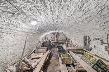 rodinný dům - sklep - Prodej domu 130 m², Pilníkov