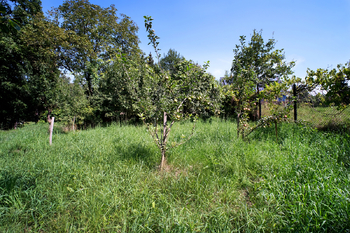 Prodej domu 150 m², Rychvald