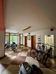 Prodej bytu 1+kk v osobním vlastnictví 30 m², Lipno nad Vltavou