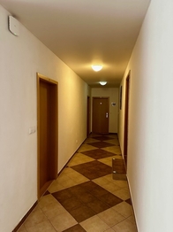 Prodej bytu 1+kk v osobním vlastnictví 30 m², Lipno nad Vltavou