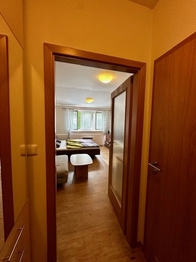 Prodej bytu 1+kk v osobním vlastnictví 30 m², Lipno nad Vltavou
