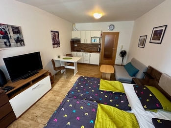 Prodej bytu 1+kk v osobním vlastnictví 30 m², Lipno nad Vltavou
