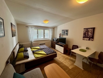 Prodej bytu 1+kk v osobním vlastnictví 30 m², Lipno nad Vltavou