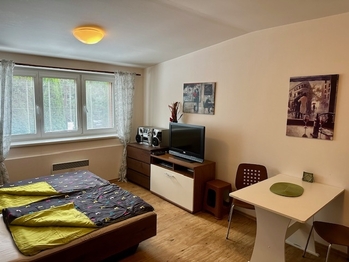 Prodej bytu 1+kk v osobním vlastnictví 30 m², Lipno nad Vltavou