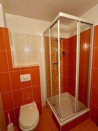 Prodej bytu 1+kk v osobním vlastnictví 30 m², Lipno nad Vltavou
