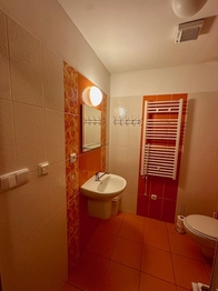 Prodej bytu 1+kk v osobním vlastnictví 30 m², Lipno nad Vltavou