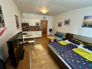 Prodej bytu 1+kk v osobním vlastnictví 30 m², Lipno nad Vltavou