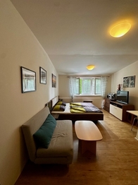 Prodej bytu 1+kk v osobním vlastnictví 30 m², Lipno nad Vltavou