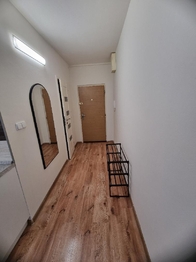Pronájem bytu 1+1 v družstevním vlastnictví 36 m², Most