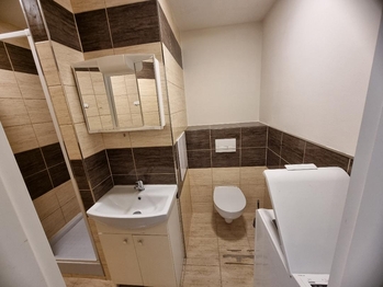 Pronájem bytu 1+1 v družstevním vlastnictví 36 m², Most