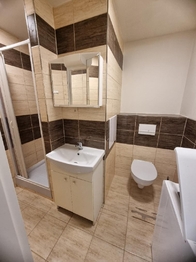 Pronájem bytu 1+1 v družstevním vlastnictví 36 m², Most