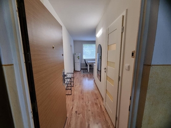 Pronájem bytu 1+1 v družstevním vlastnictví 36 m², Most