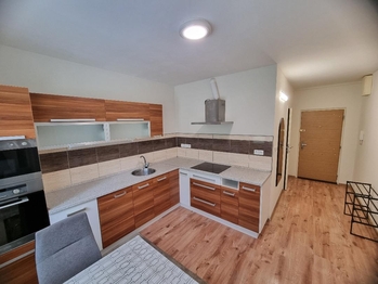 Pronájem bytu 1+1 v družstevním vlastnictví 36 m², Most
