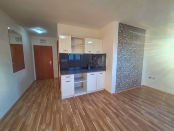 Pronájem bytu 1+1 v družstevním vlastnictví 52 m², České Budějovice