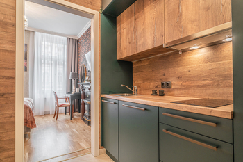 Pronájem bytu 1+kk v osobním vlastnictví 22 m², Praha 2 - Nové Město