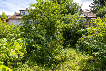 Prodej domu 196 m², Nový Jičín