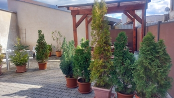 Pronájem bytu 2+kk v osobním vlastnictví 41 m², Rousínov