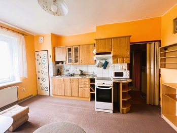 Pronájem bytu 1+1 v osobním vlastnictví 42 m², Opočno