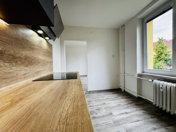 Pronájem bytu 2+1 v osobním vlastnictví 54 m², Žatec