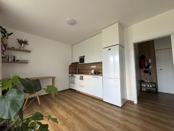 Pronájem bytu 1+kk v osobním vlastnictví 27 m², Olomouc