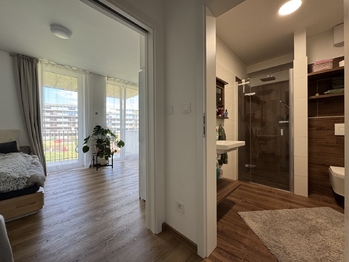 Pronájem bytu 1+kk v osobním vlastnictví 27 m², Olomouc