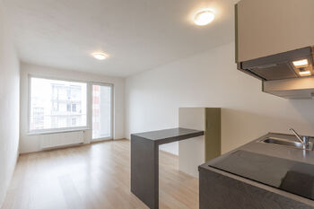 Pronájem bytu 1+1 v osobním vlastnictví 43 m², Praha 5 - Smíchov
