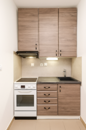 Pronájem bytu 1+1 v osobním vlastnictví 34 m², Mladá Boleslav
