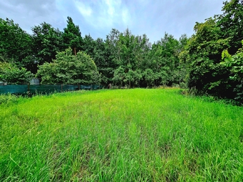 Prodej domu 162 m², Holedeč